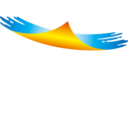 重庆两江新区足球队