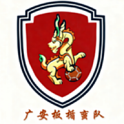 广安板楯蛮队